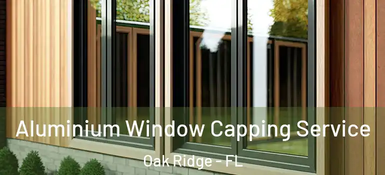 Aluminium Window Capping Service Oak Ridge - FL