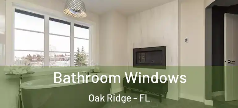 Bathroom Windows Oak Ridge - FL