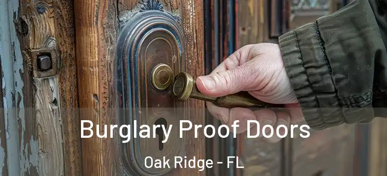 Burglary Proof Doors Oak Ridge - FL