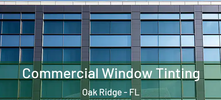 Commercial Window Tinting Oak Ridge - FL