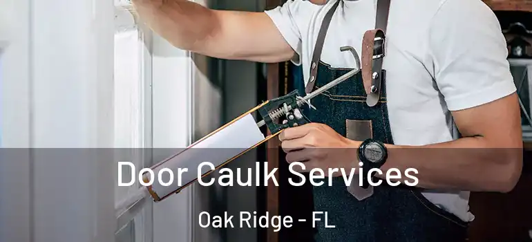 Door Caulk Services Oak Ridge - FL