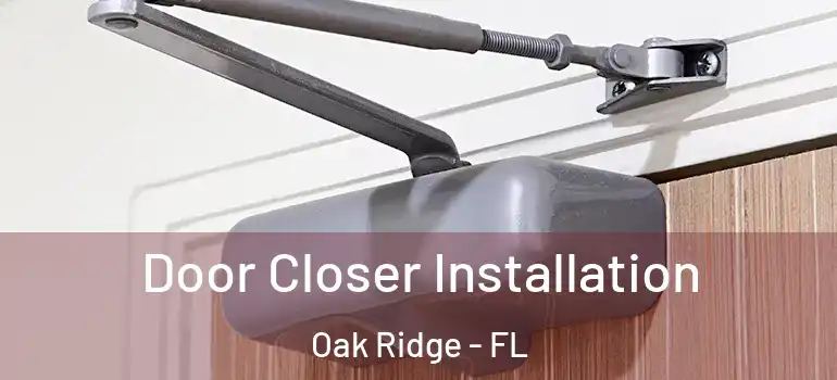Door Closer Installation Oak Ridge - FL