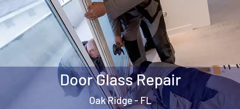 Door Glass Repair Oak Ridge - FL