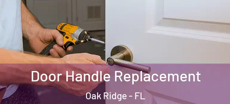 Door Handle Replacement Oak Ridge - FL