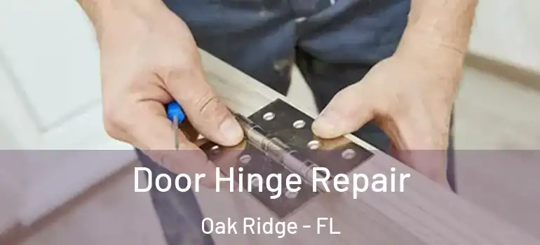 Door Hinge Repair Oak Ridge - FL