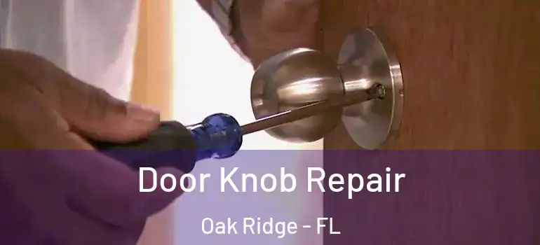 Door Knob Repair Oak Ridge - FL