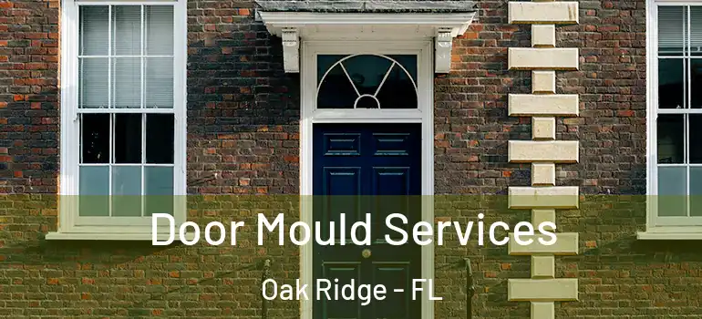 Door Mould Services Oak Ridge - FL