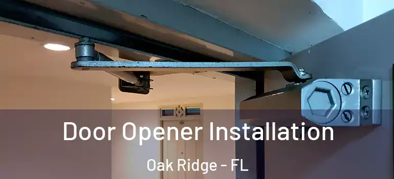 Door Opener Installation Oak Ridge - FL
