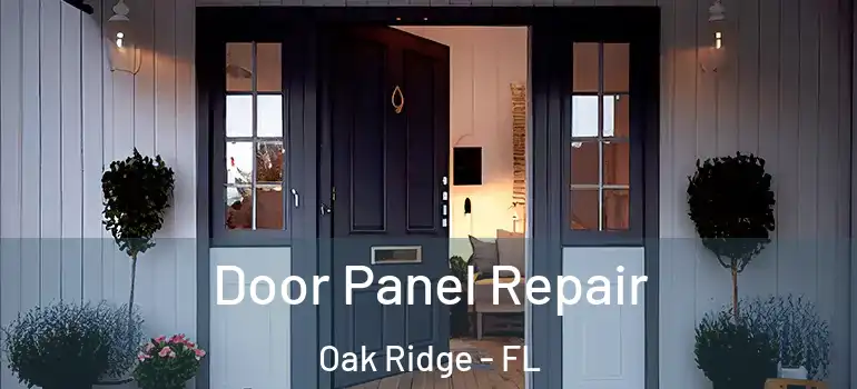 Door Panel Repair Oak Ridge - FL
