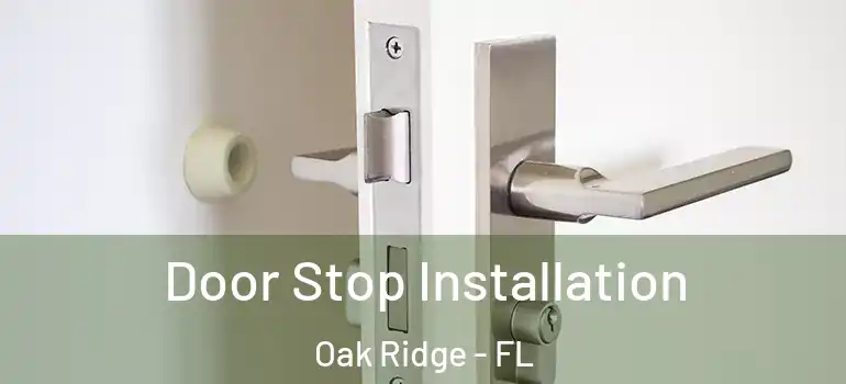 Door Stop Installation Oak Ridge - FL