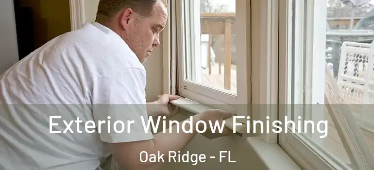 Exterior Window Finishing Oak Ridge - FL