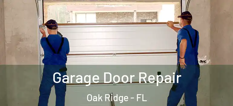 Garage Door Repair Oak Ridge - FL