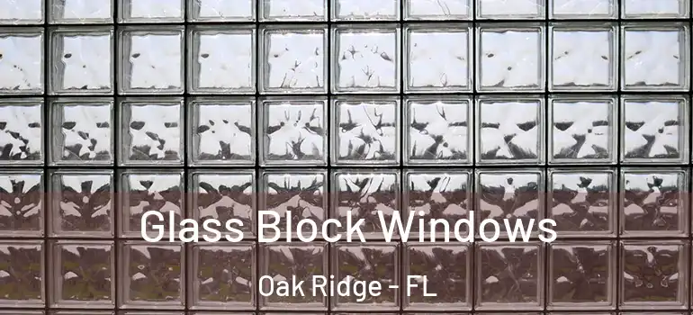 Glass Block Windows Oak Ridge - FL