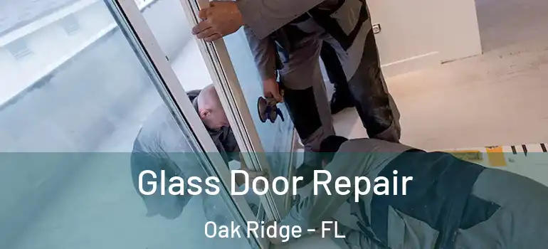 Glass Door Repair Oak Ridge - FL