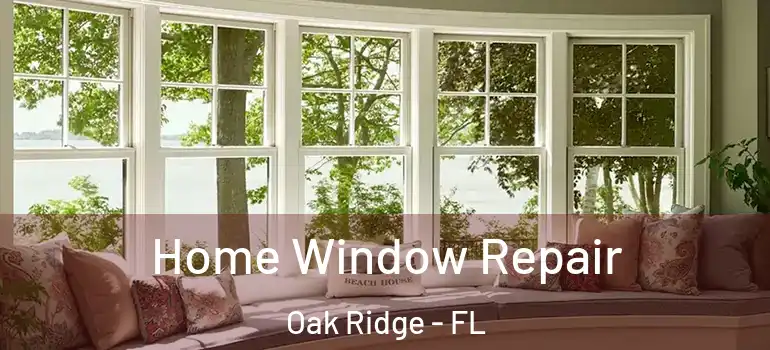 Home Window Repair Oak Ridge - FL