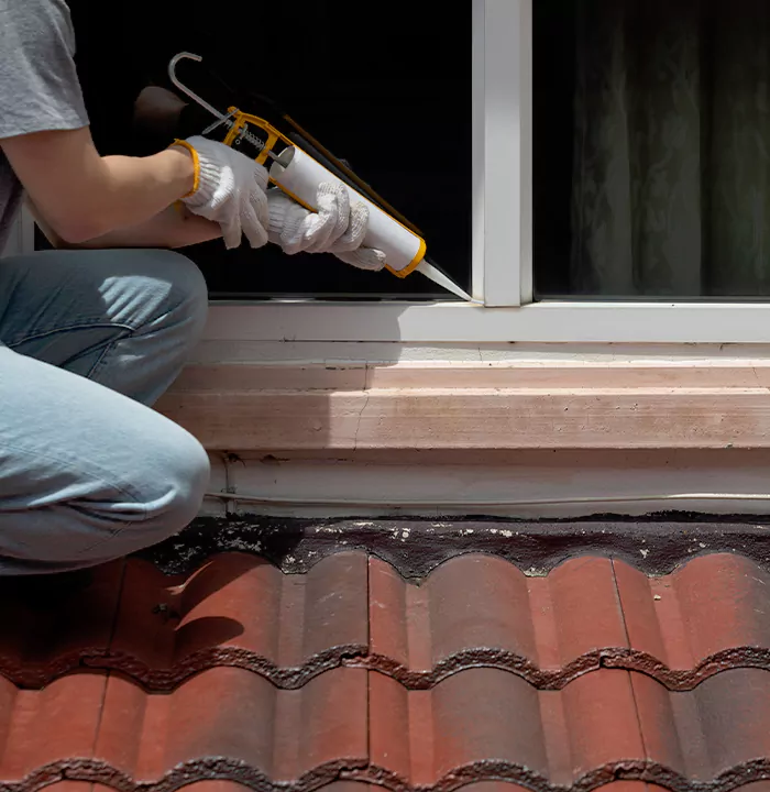 Roof Window Services in Oak Ridge, Florida