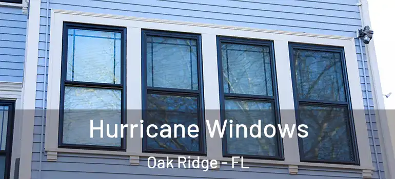 Hurricane Windows Oak Ridge - FL