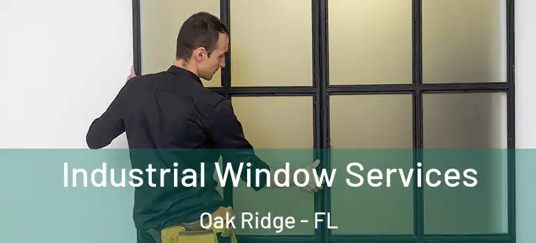 Industrial Window Services Oak Ridge - FL