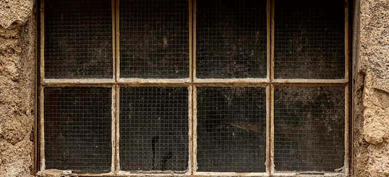 Traditional Double Front Doors in Oak Ridge, FL