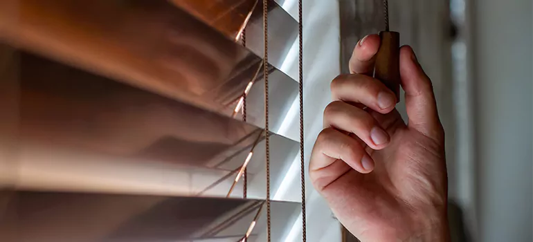 Double Roller Blinds in Oak Ridge, FL