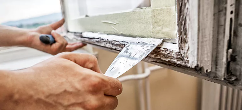 Exterior Window Frame Repair in Oak Ridge, FL