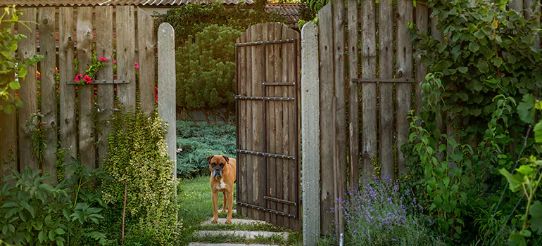 Winter Garden Garage Door Repair in Oak Ridge,[location field=state]