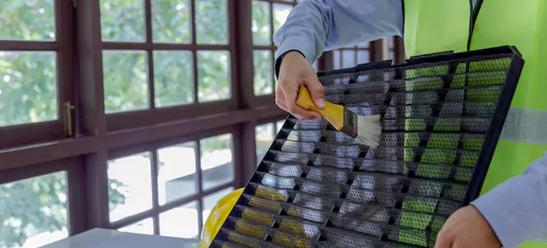 Traditional Window Grille Installation Options in Oak Ridge, FL