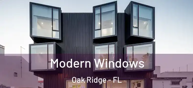 Modern Windows Oak Ridge - FL