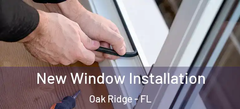 New Window Installation Oak Ridge - FL