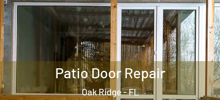 Patio Door Repair Oak Ridge - FL