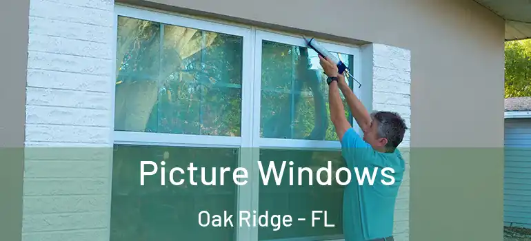 Picture Windows Oak Ridge - FL