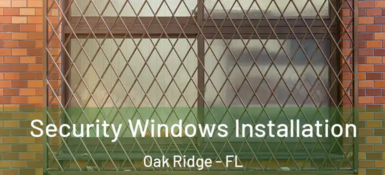 Security Windows Installation Oak Ridge - FL