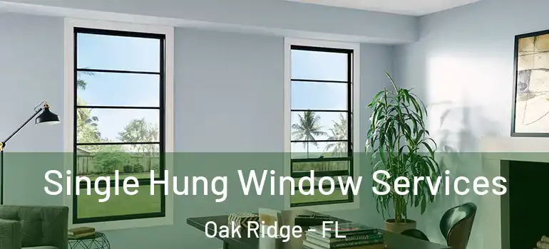 Single Hung Window Services Oak Ridge - FL