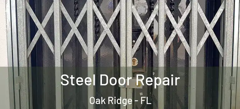 Steel Door Repair Oak Ridge - FL