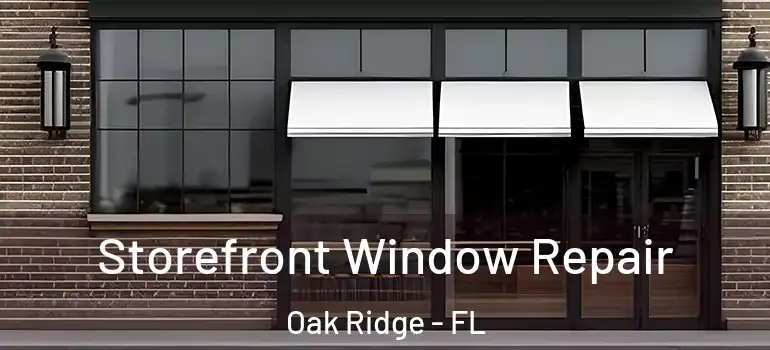 Storefront Window Repair Oak Ridge - FL