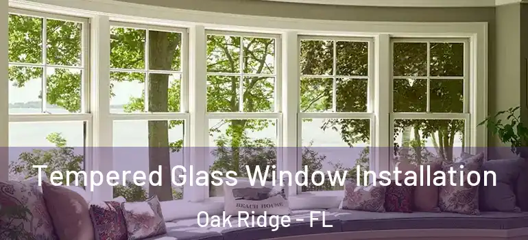 Tempered Glass Window Installation Oak Ridge - FL