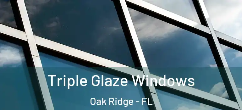 Triple Glaze Windows Oak Ridge - FL