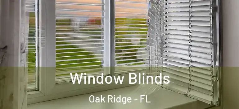 Window Blinds Oak Ridge - FL