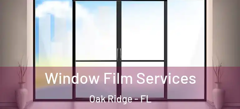 Window Film Services Oak Ridge - FL