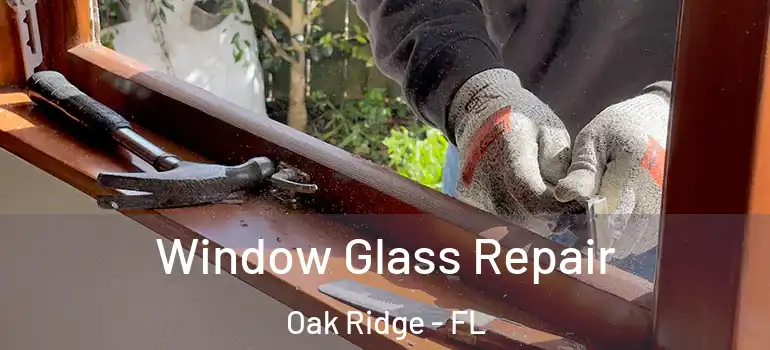 Window Glass Repair Oak Ridge - FL