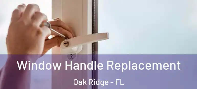 Window Handle Replacement Oak Ridge - FL