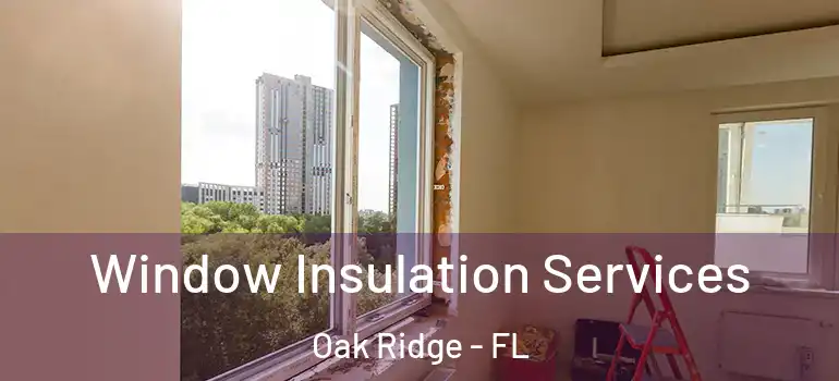 Window Insulation Services Oak Ridge - FL