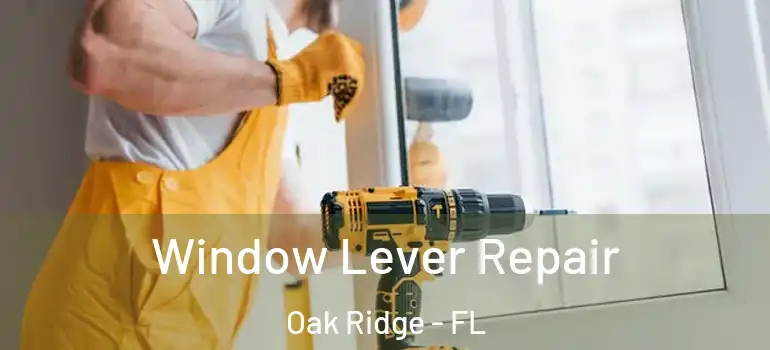 Window Lever Repair Oak Ridge - FL