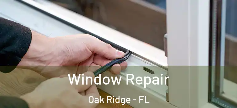 Window Repair Oak Ridge - FL