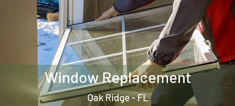 Window Replacement Oak Ridge - FL