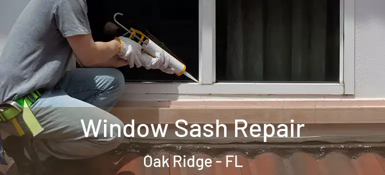 Window Sash Repair Oak Ridge - FL