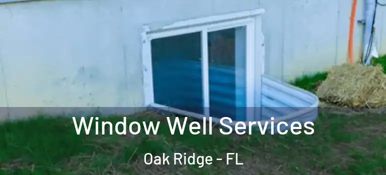 Window Well Services Oak Ridge - FL